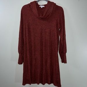 Turtle neck sweater dress